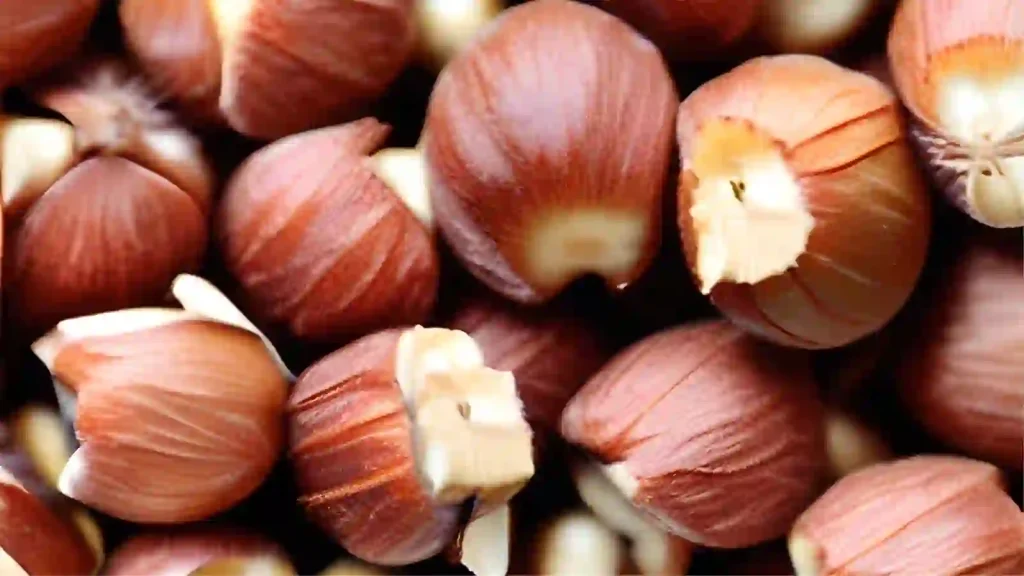 whole hazelnuts