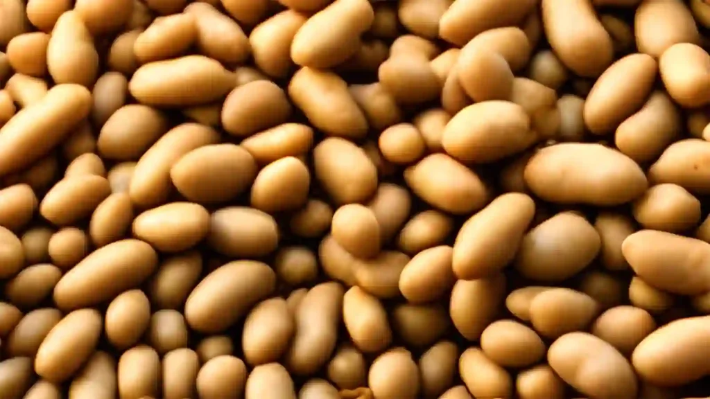 soy beans in a bowl